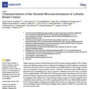 شناسایی ریزمحیط استرومایی در سرطان سینه لوبولار