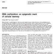 متیلاسیون DNA: یک نشانه اپی ژنتیک از حافظه سلولی