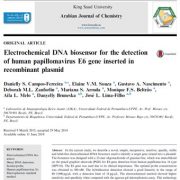 بیوسنسور DNA الکتروشیمیایی برای تشخیص ژن E6 پاپیلوماویروس انسانی