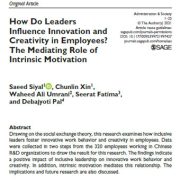 چگونه رهبران بر نوآوری و خلاقیت در کارکنان تأثیر می گذارند؟ نقش میانجی انگیزه درونی