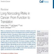 RNA های غیر رمزکننده بلند در سرطان: از کارکرد تا ترجمه