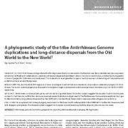 مطالعه‌ی فیلوژنتیک قبیله‌ی گل میمونی: مضاعف شدگی ژن