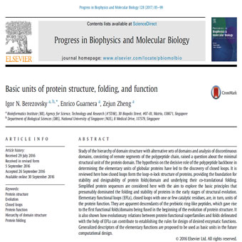 واحدهای اساسی ساختار پروتئین