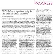 سازگاری CRISPR – Cas:: بینش‌ها و دیدگاه‌هایی در خصوص مکانیسم عمل