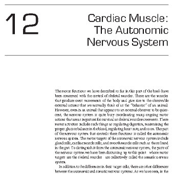 عضله قلب: سیستم عصبی خودمختار
