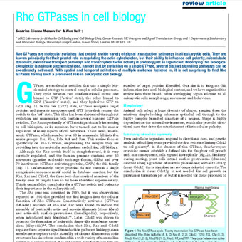Rho GTPase در بیولوژی سلول