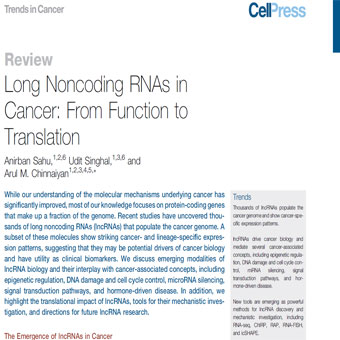 RNAهای غیر رمزکننده بلند در سرطان