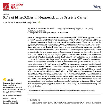نقش MicroRNA ها در سرطان پروستات نورواندوکرین