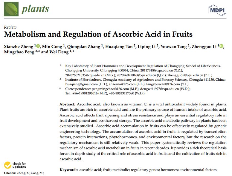 متابولیسم اسید اسکوربیک میوه