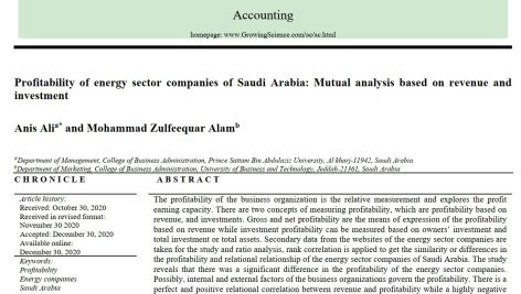 سودآوری شرکت‌های بخش انرژی عربستان سعودی: تجزیه و تحلیل متقابل بر اساس درآمد و سرمایه گذاری