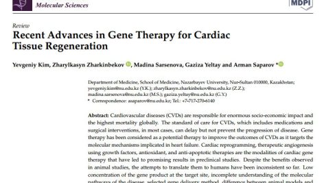 پیشرفت‌های اخیر در ژن درمانی برای بازسازی بافت قلبی