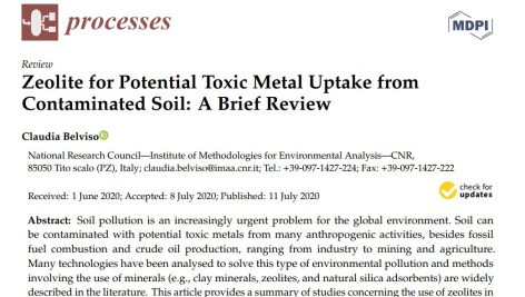 زئولیت برای جذب فلزات سمی بالقوه از خاک آلوده: یک مقاله مروری کوتاه
