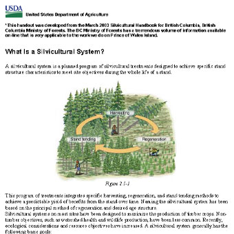 سیستم جنگلداری چیست